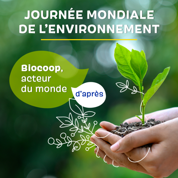 Journée Mondiale de l'Environnement