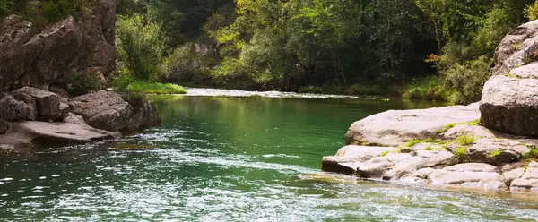 Journée mondiale de l'eau : écoutez notre podcast Plus bio la vie Journée mondiale de l'eau : écoutez notre podcast Plus bio la vie